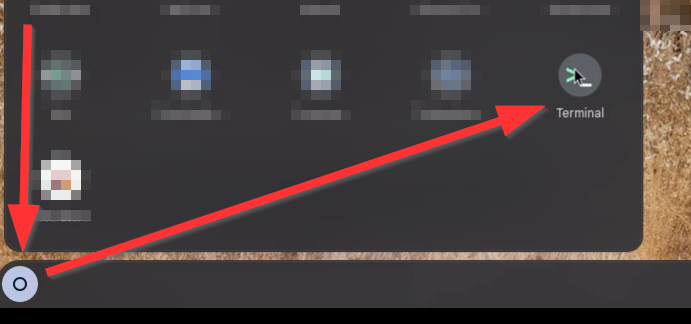 CompLeadly auf dem Chromebook installieren